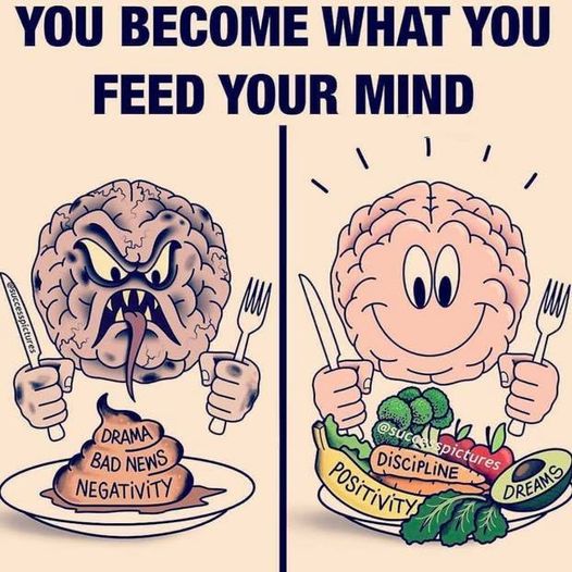 What Do You Feed Your Mind Help Entrepreneurs